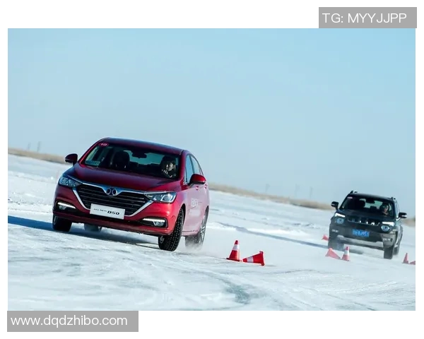 东契奇训练后带队友团建体验保时捷专业赛道试驾乐趣