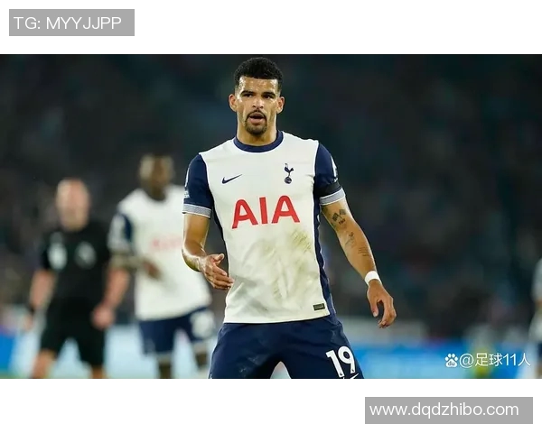 英媒分析国际比赛日对热刺的积极影响穆阿尼复出伤员得到宝贵休息时间